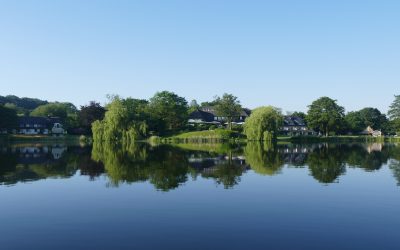 Deine Yoga-Auszeit im Frühling: Rise up and Slow down am Bistensee 17. – 19. April 2026